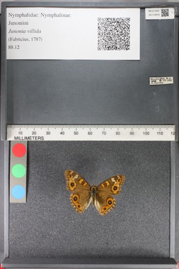 Media type: image;   Entomology 110919